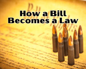 How a Bill Becomes a Law: Understanding the Process Through a Flowchart