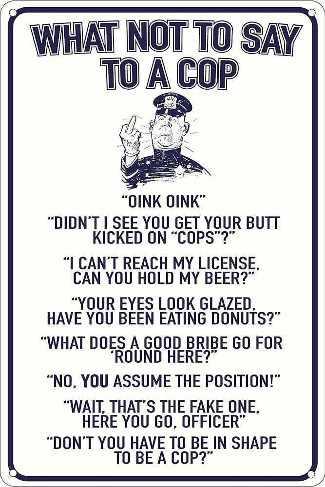 What to Do If You&#8217;re Stopped by the Police?